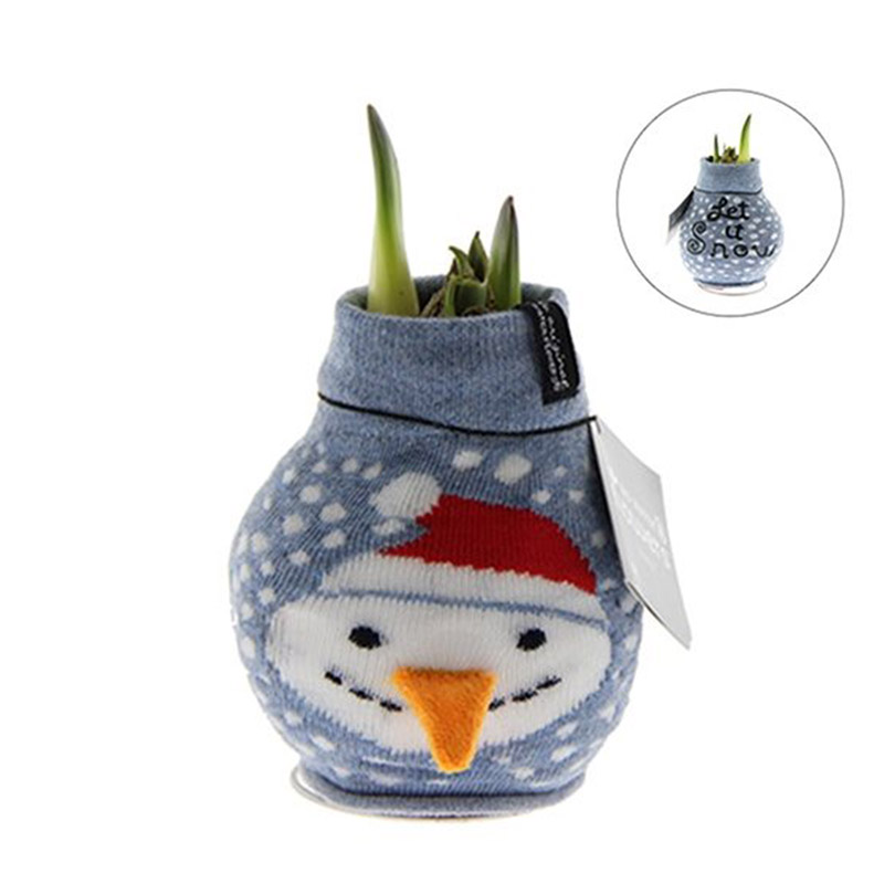 Wax Amaryllis Fashionz Xmas Snowman