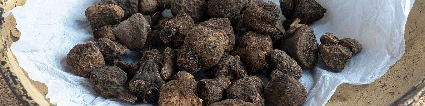 Which bulbs should be soaked before planting?