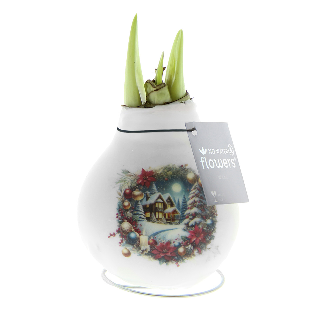 Wax Amaryllis Crafts Christmas Huis