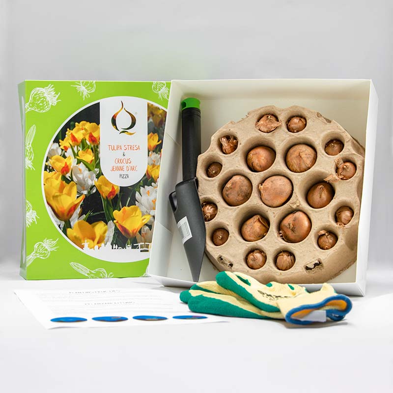 55025104025-Pizza-Stresa-Jeanne-dArc-inhoud