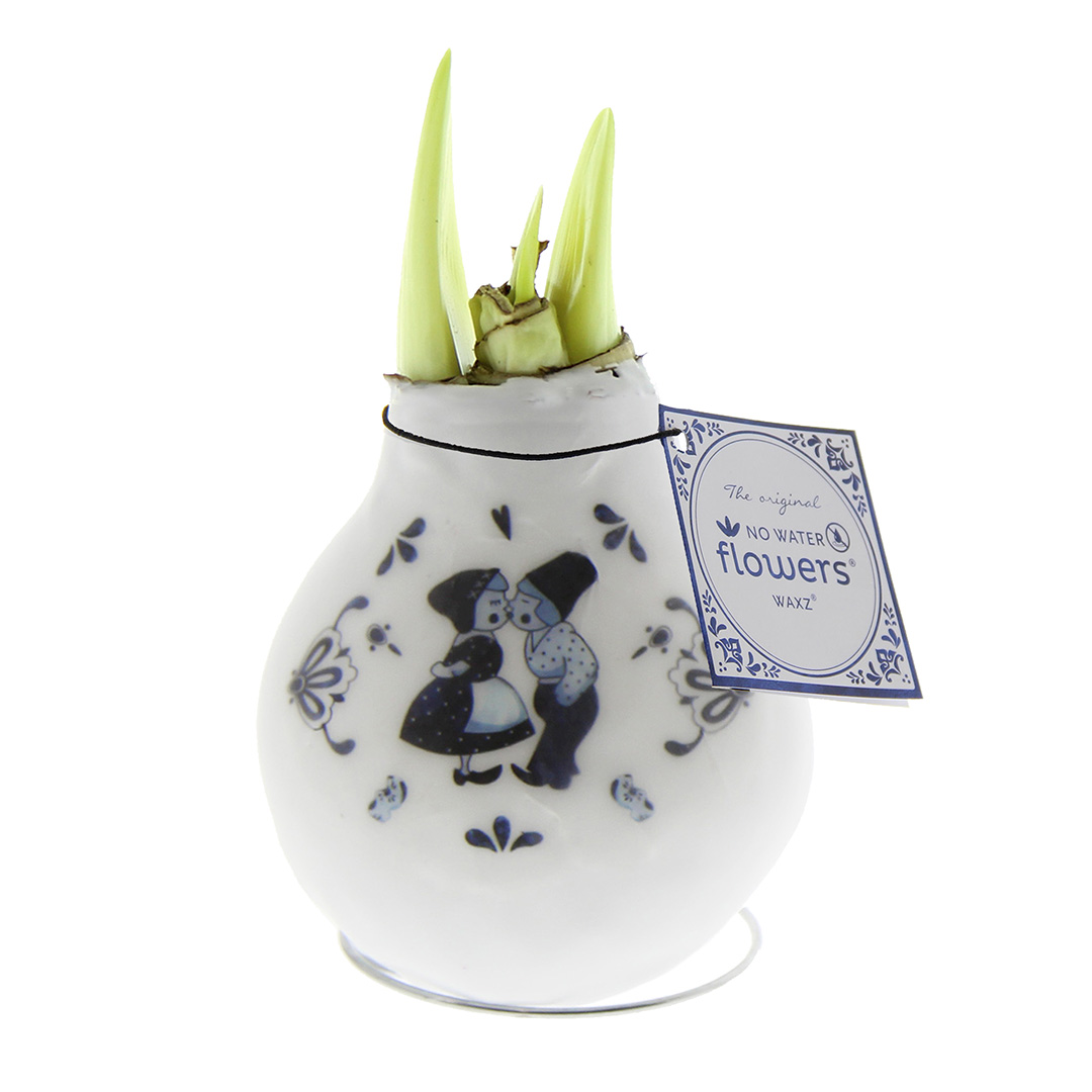 Wax Amaryllis Crafts Delfts Blauw Kiss