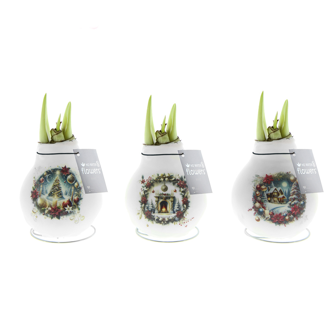 Wax Amaryllis Collection Crafts Christmas