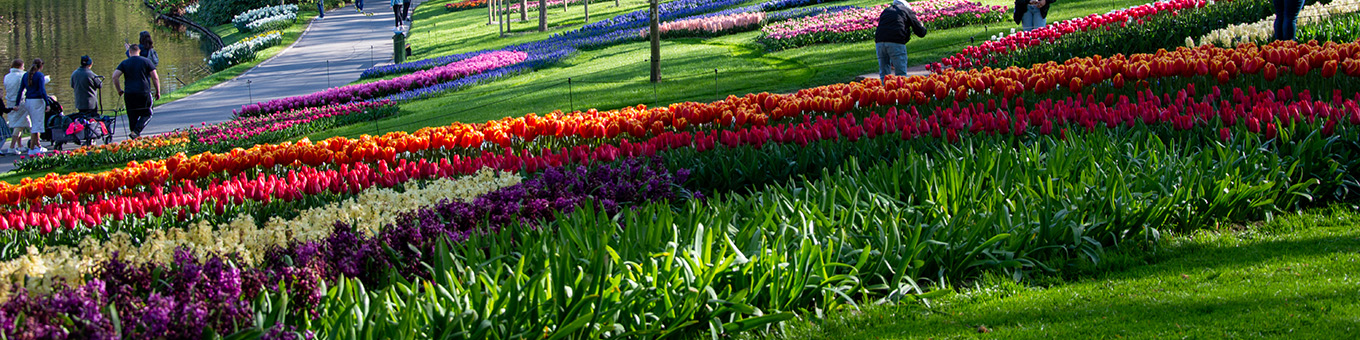 Keukenhof 2024 - Plan your visit!